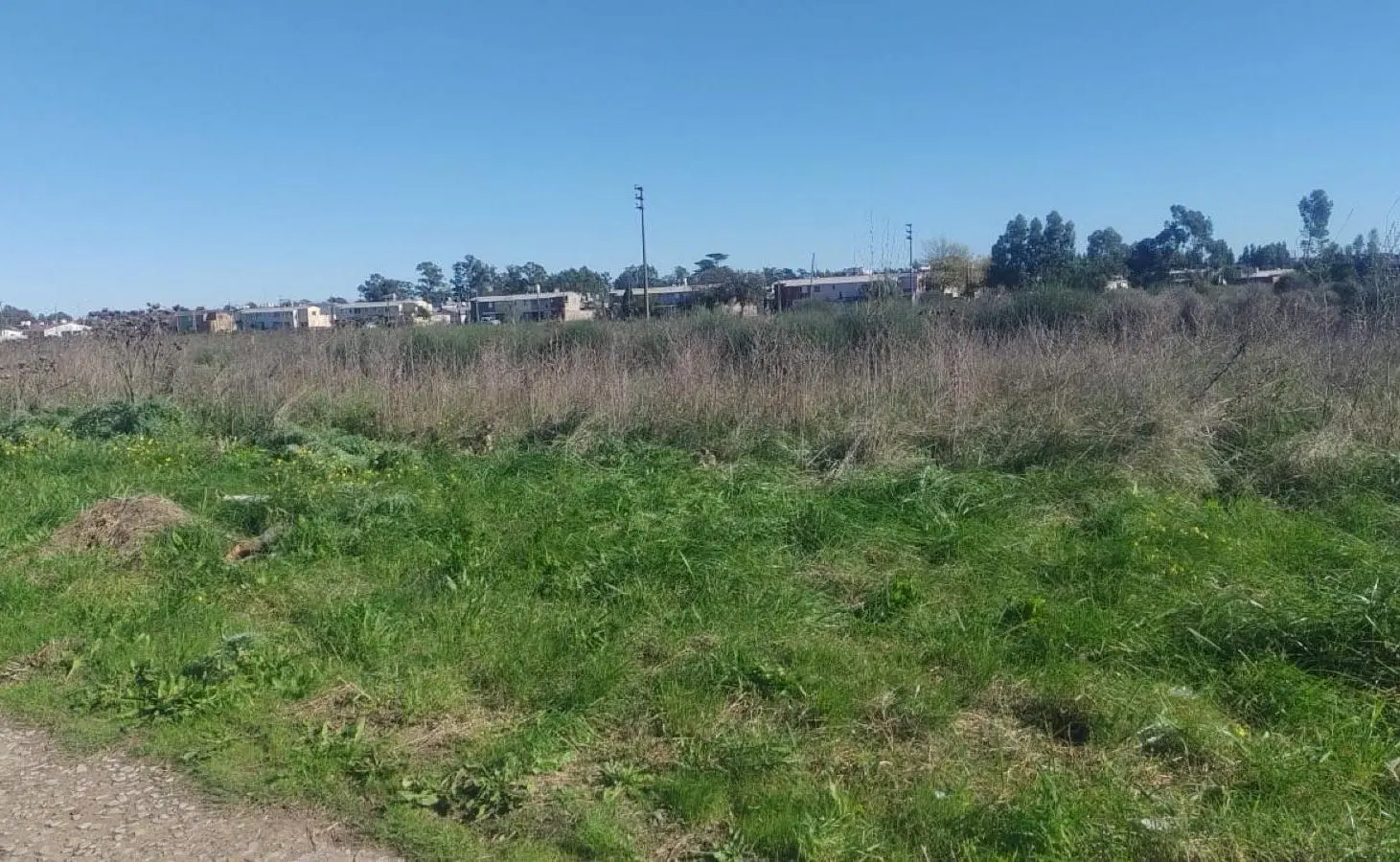 Terreno venta Necochea av 98 entre 71 y 69 672 mts escriturado luz gas sobre avenida comercial 3