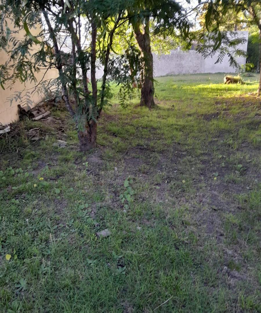 Foto de Terreno Venta San Vicente con escritura 412 mts, imagen 3