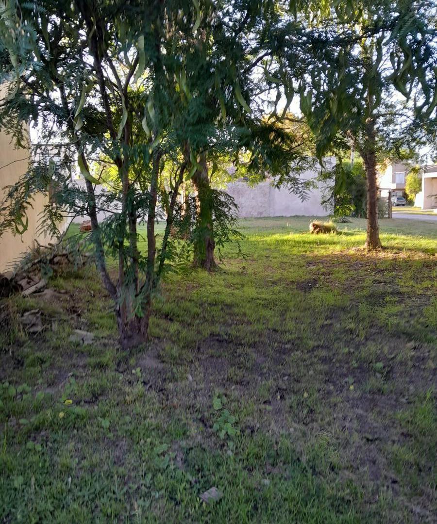 Foto de Terreno Venta San Vicente con escritura 412 mts, imagen 4