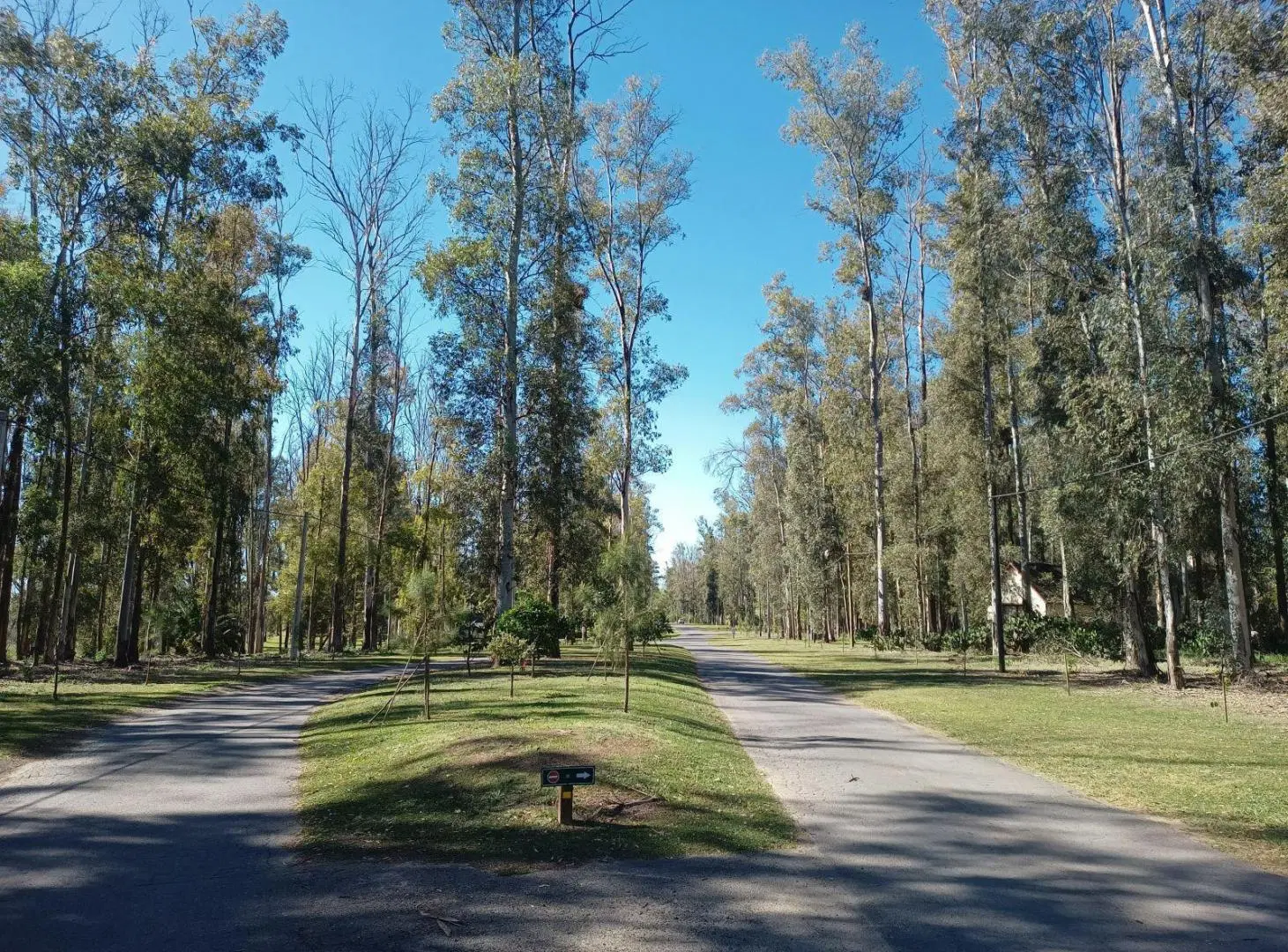 Campo Timbó · Oliveros · Terreno · Venta 4