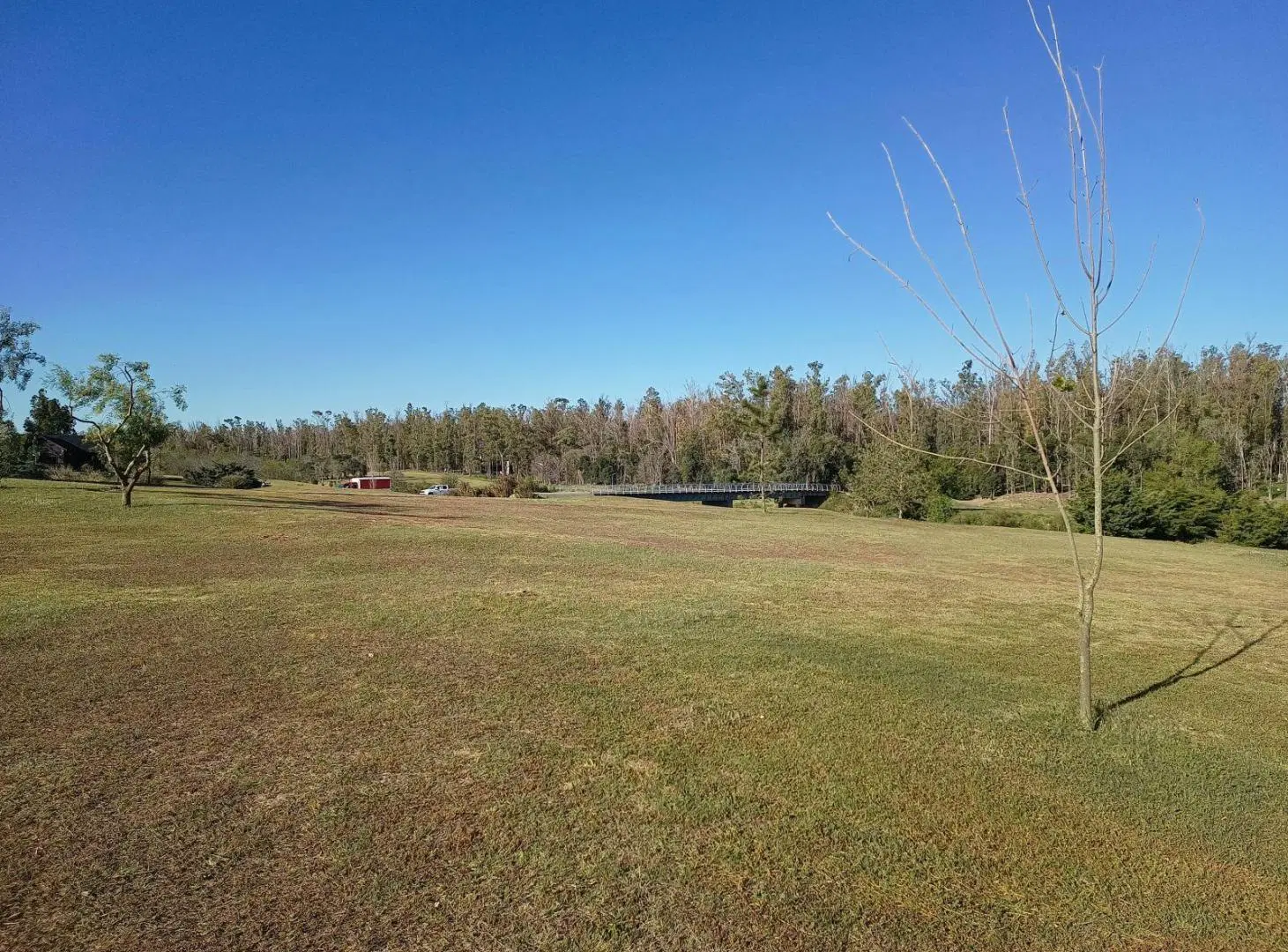 Campo Timbó · Oliveros · Terreno · Venta 3