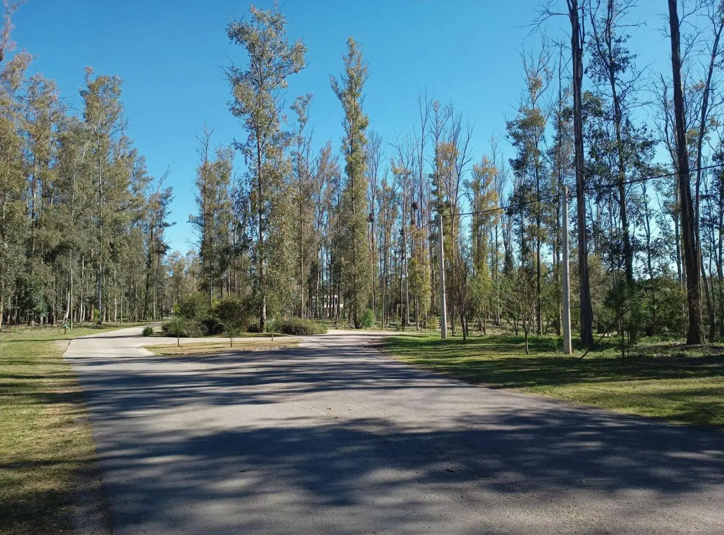 Campo Timbó · Oliveros · Terreno · Venta 2