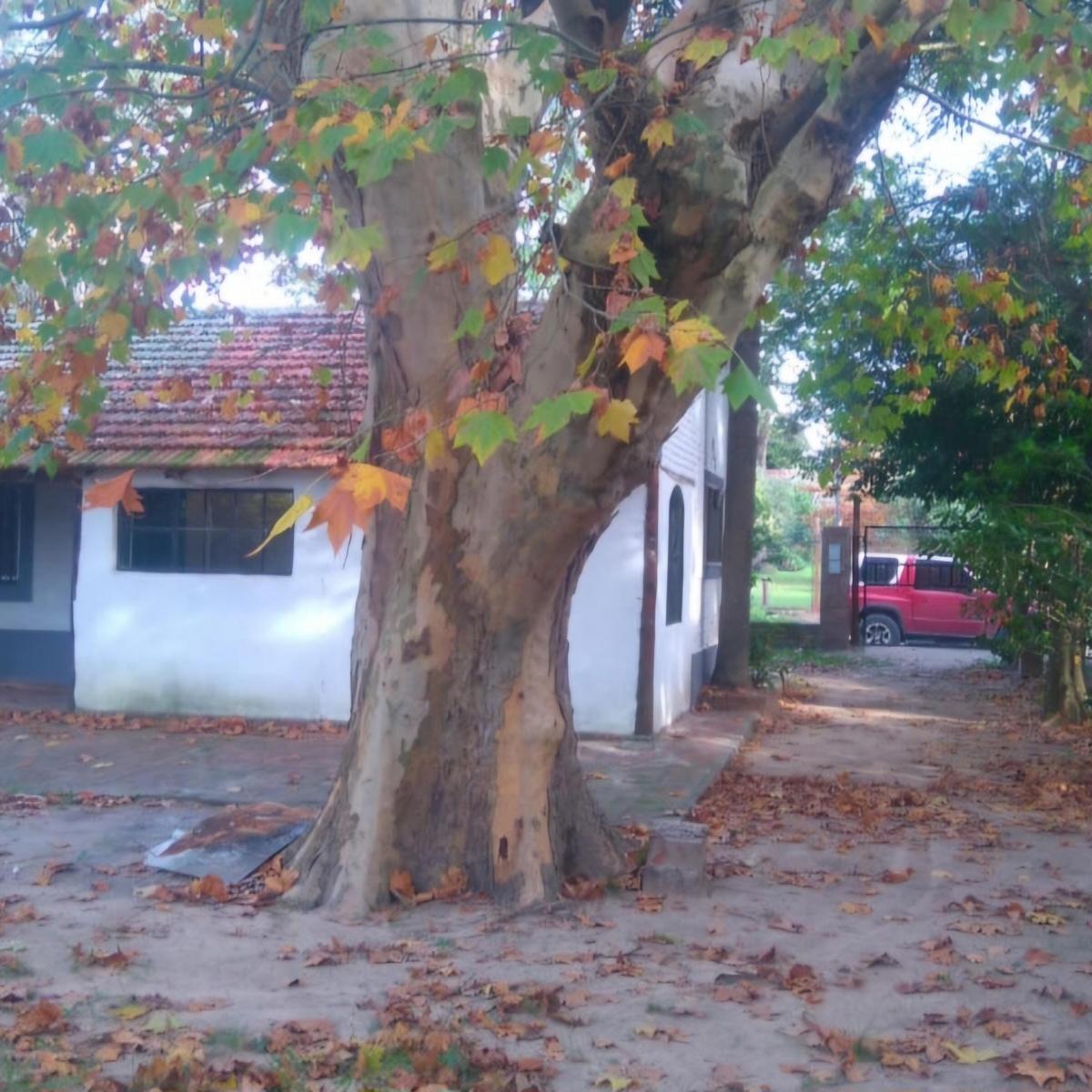Vendo Dos Casas Juntas en Rincon - Zona Casco Historico 5