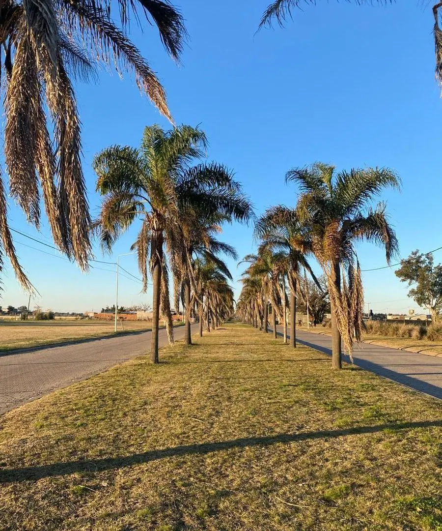 Terreno a la venta en Tierra de sueños Arroyo seco. 4