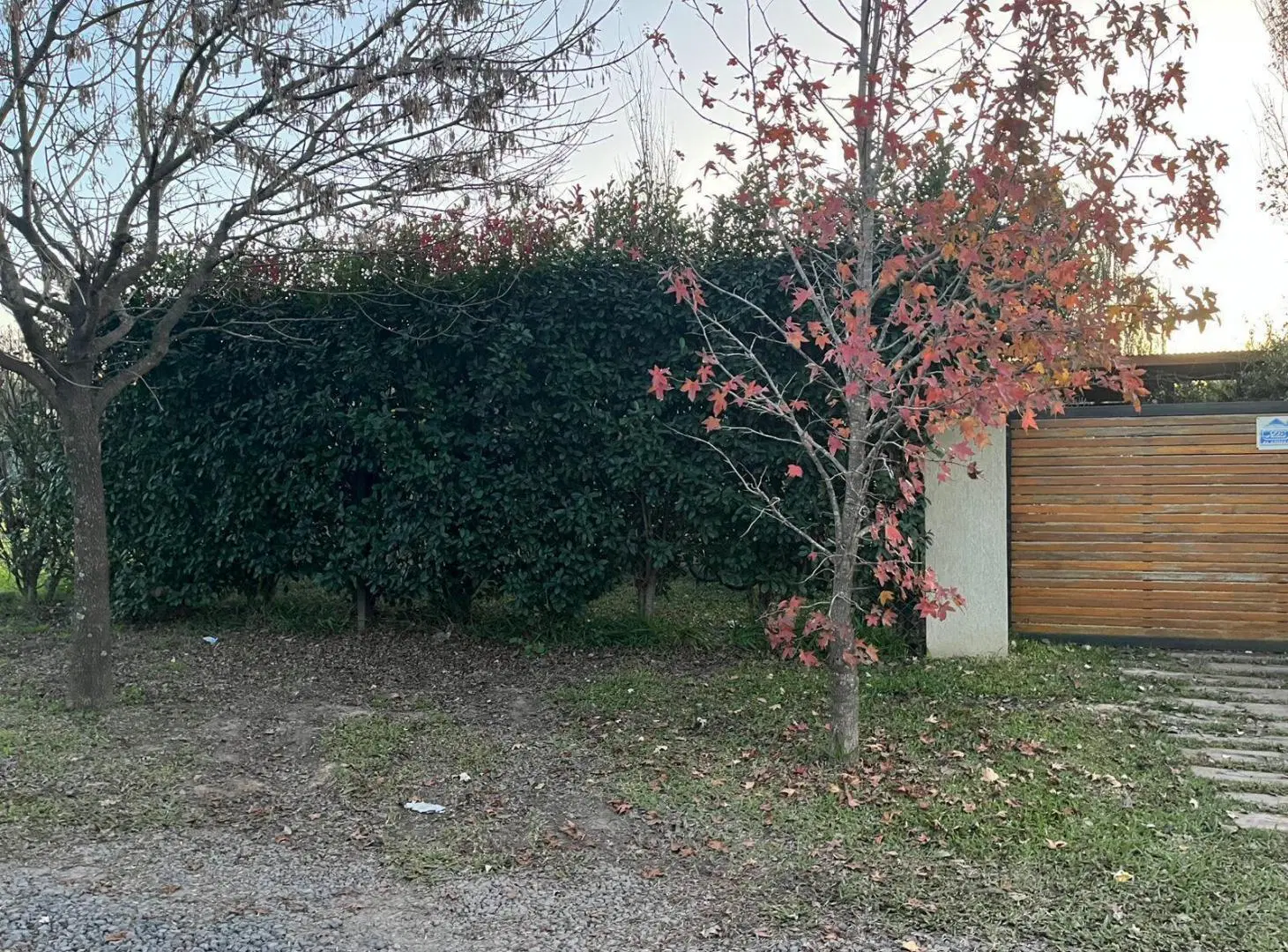 Casa de 2 dormitorios con parque y pileta. Punta Chacra. 5