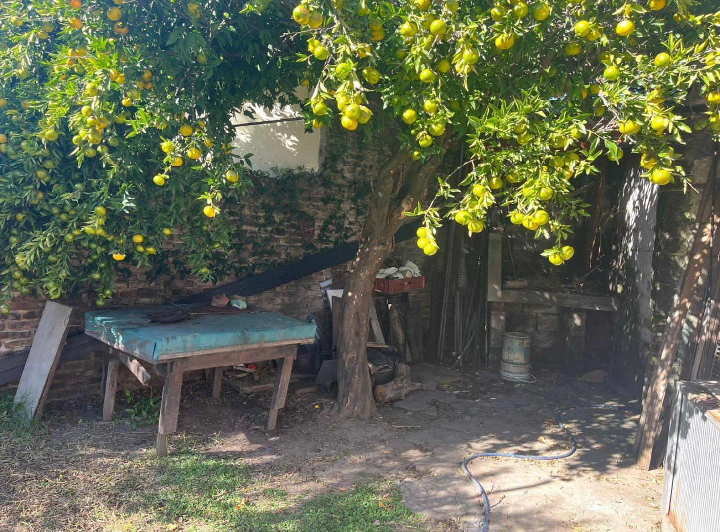 Foto de Casa con espacio para local y galpón., imagen 5