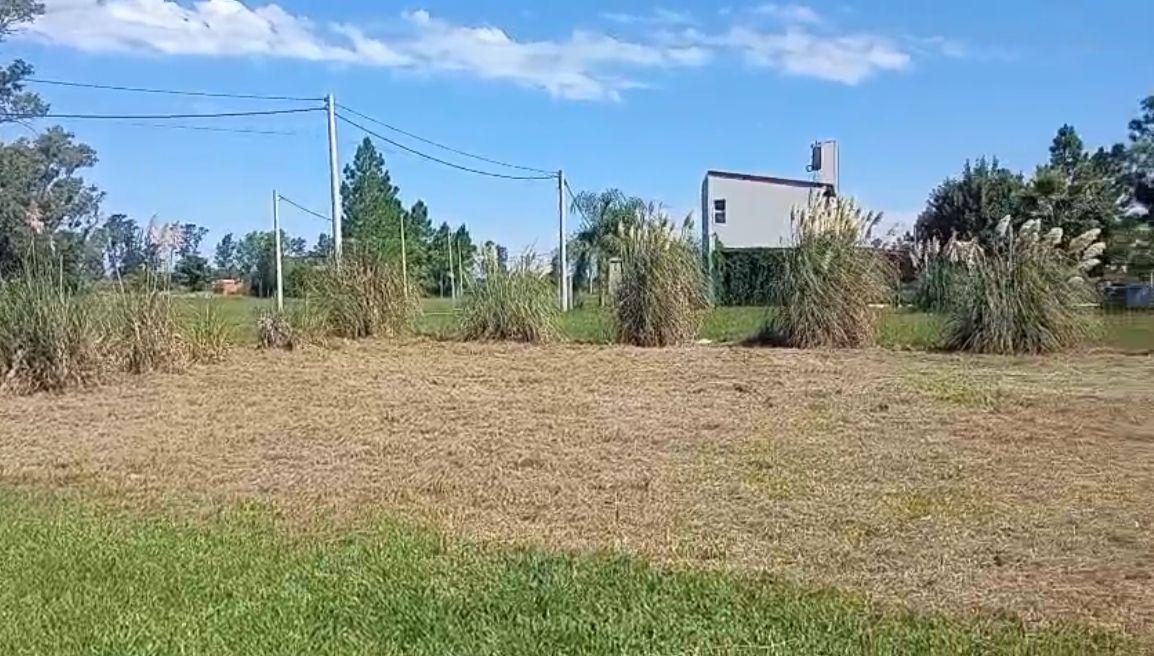 Foto de Terreno en barrio Abierto Solares Norte., imagen 1