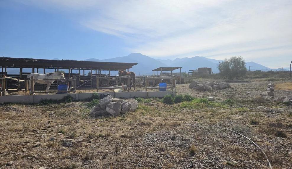 Vendo · Terreno · Altos de La Crucecita · Lujan · 2000 m² · Mendoza 5