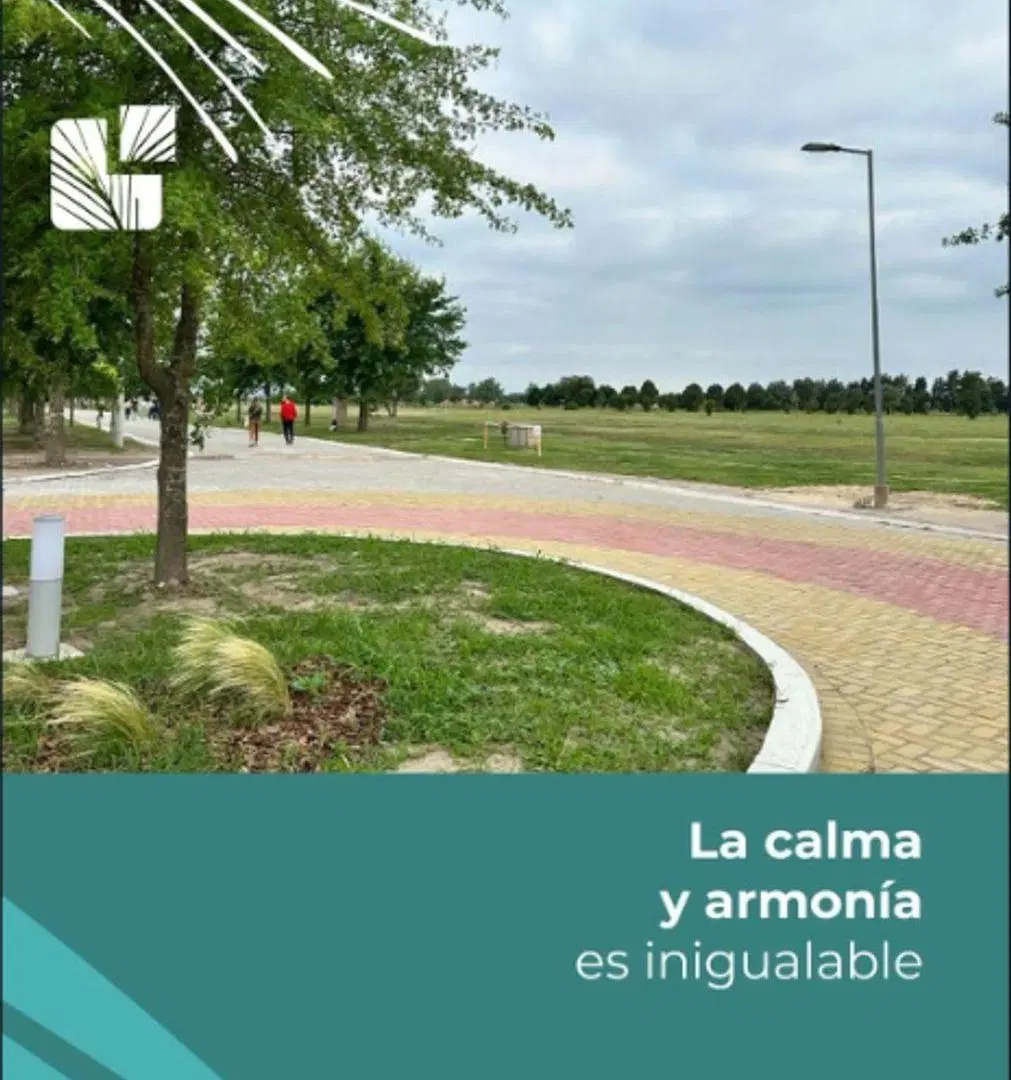 Proyecto PILAY 1 dormitorio. Listo para adjudicar. 4