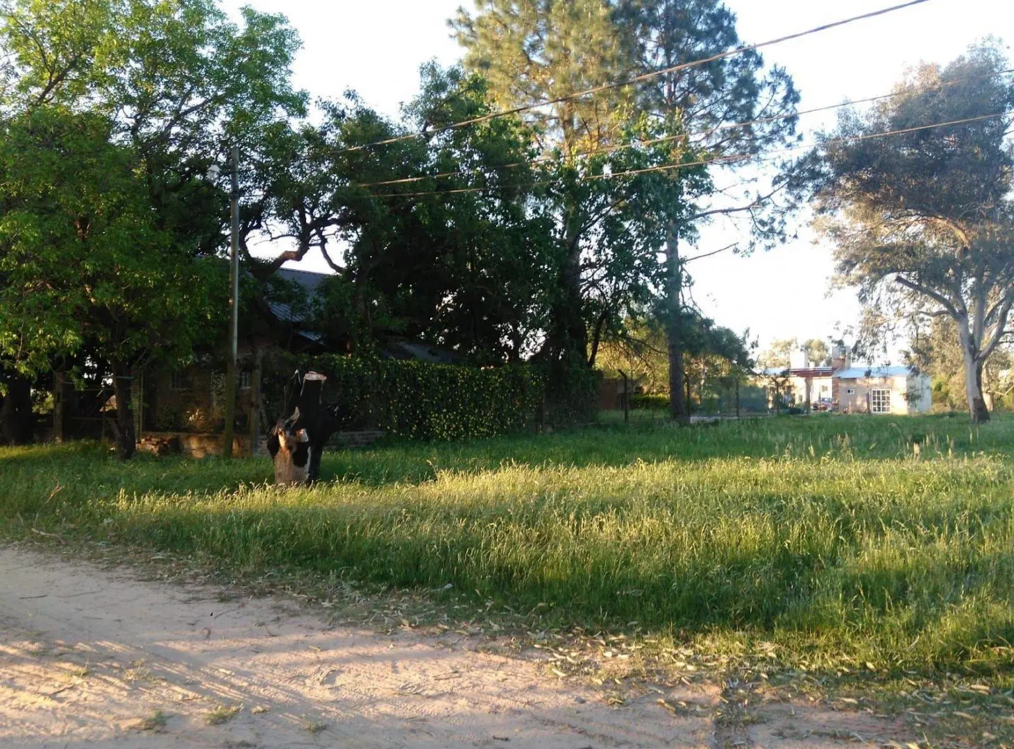 TERRENO EN ARROYO LEYES 5