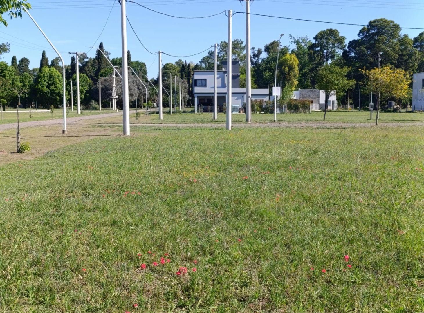 Foto de TERRENO EN LOS MOLINOS, imagen 3