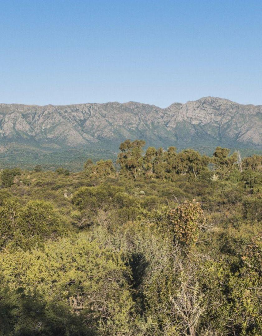 Foto de TERRENO DE 4 HECTAREAS-CAPILLA DEL MONTE, imagen 2