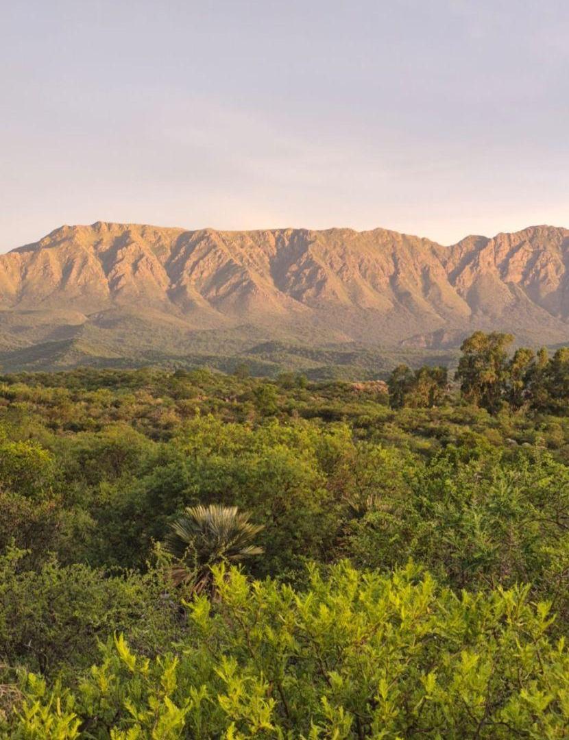 TERRENO DE 4 HECTAREAS-CAPILLA DEL MONTE