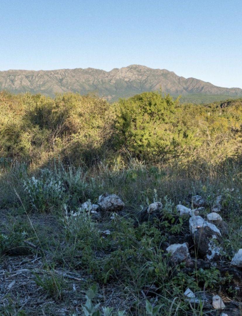 Foto de TERRENO DE 4 HECTAREAS-CAPILLA DEL MONTE, imagen 3