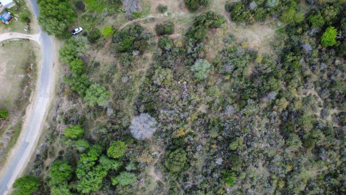 Foto de LOTE DE 2.7 HECTAREAS, imagen 4