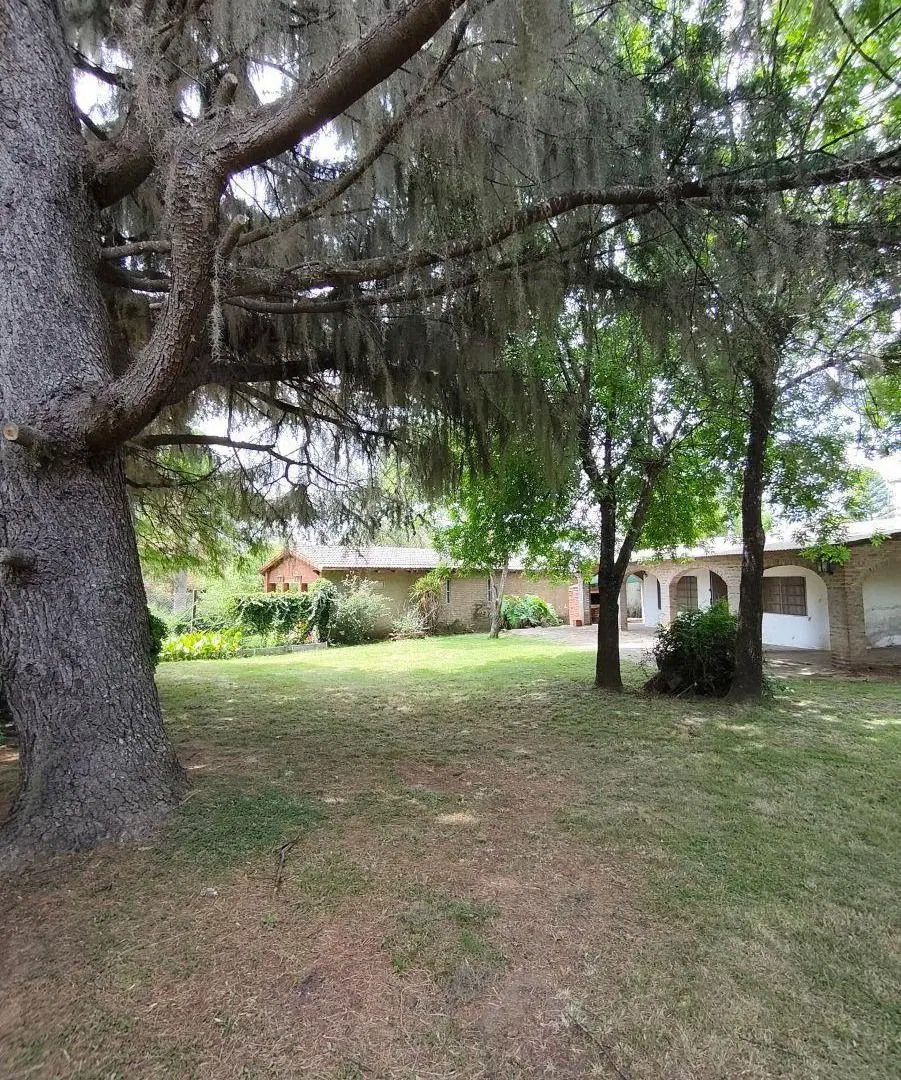 Vendo Lote 1050 m² c/Vivienda,Pileta y Arbolado- Oliveros a 100m carcaraña 5