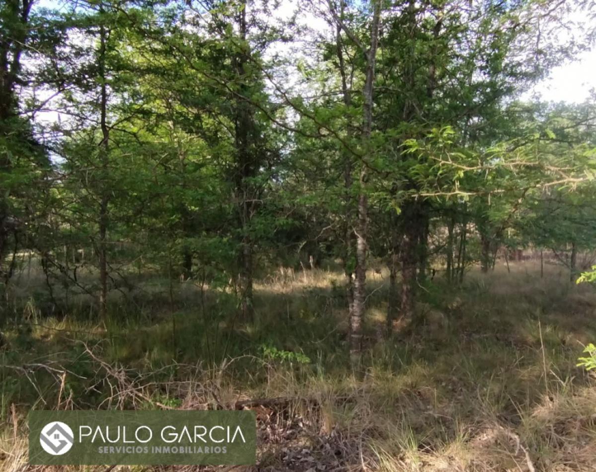 Lote en Villa Ciudad Parque - Excelente Ubicacion 5