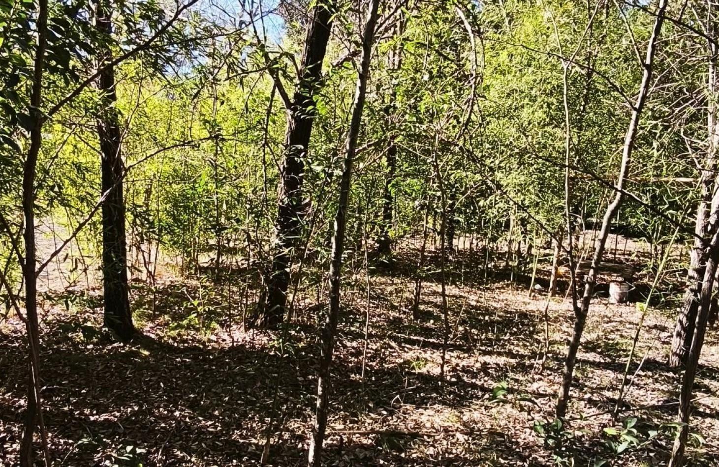 Foto de 2 amplios lotes con excelente ubicacion en Villa Ciudad Parque, sobre, imagen 4