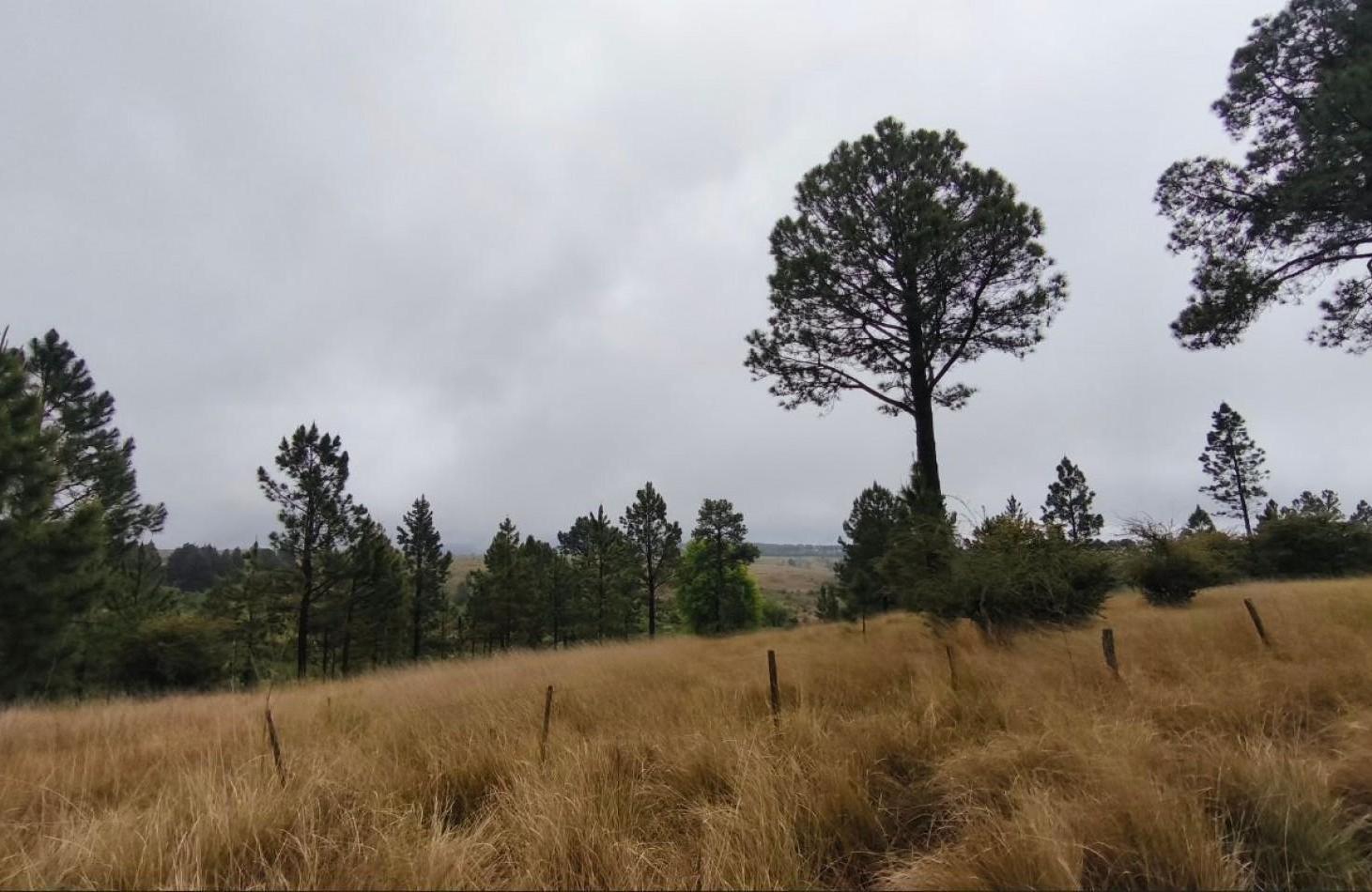 Foto de UNA HECTAREA EN VILLA BERNA - NATURALEZA, VISTAS Y TRANQUILIDAD, imagen 2