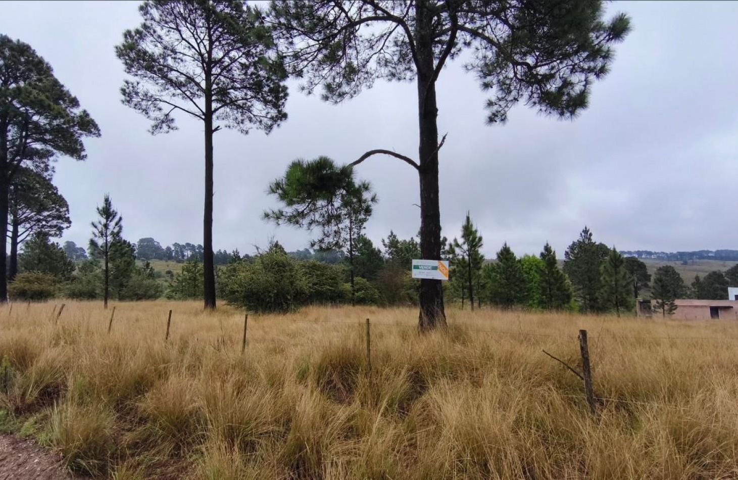 Foto de UNA HECTAREA EN VILLA BERNA - NATURALEZA, VISTAS Y TRANQUILIDAD, imagen 4