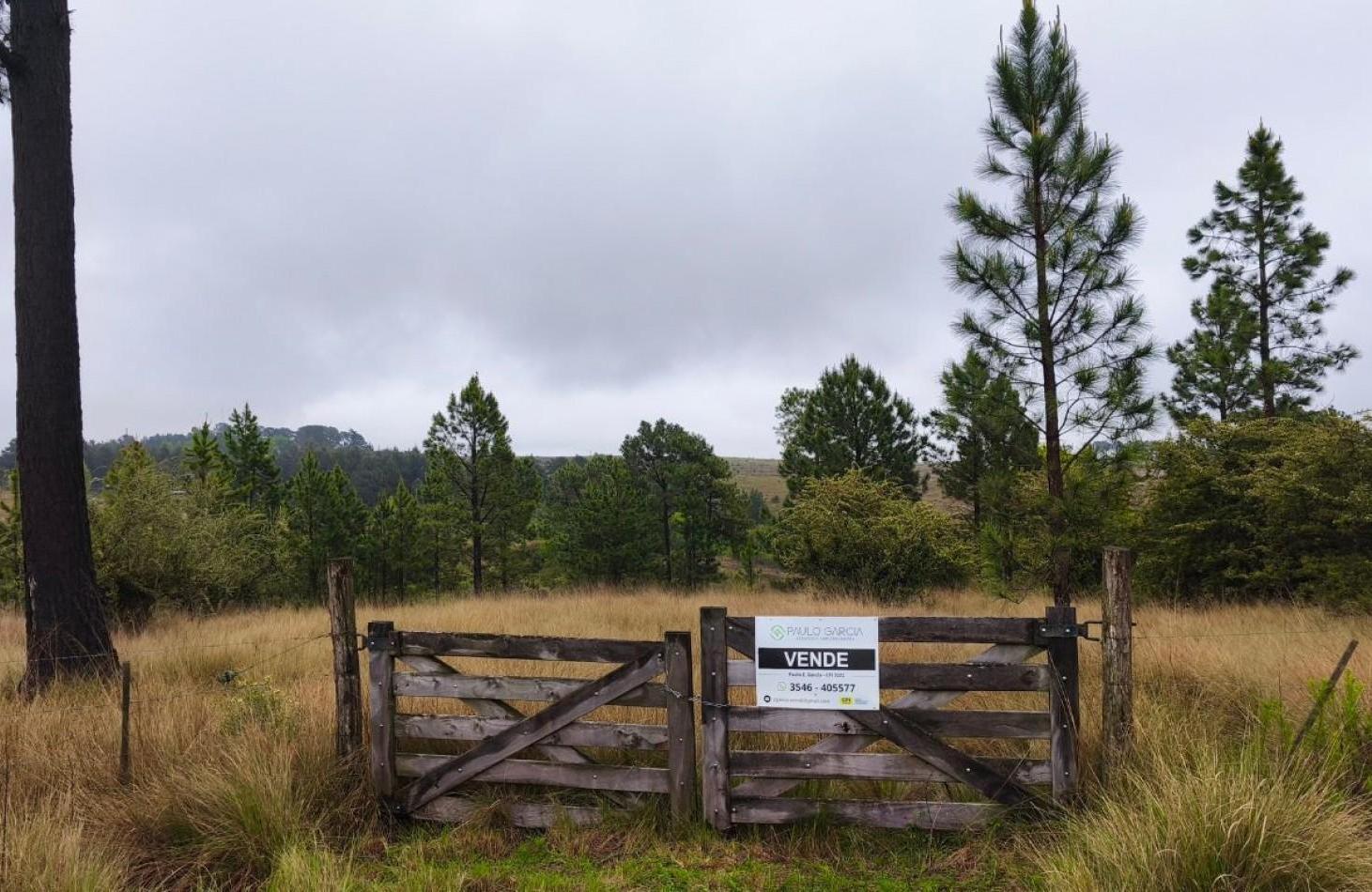 Foto de UNA HECTAREA EN VILLA BERNA - NATURALEZA, VISTAS Y TRANQUILIDAD, imagen 1