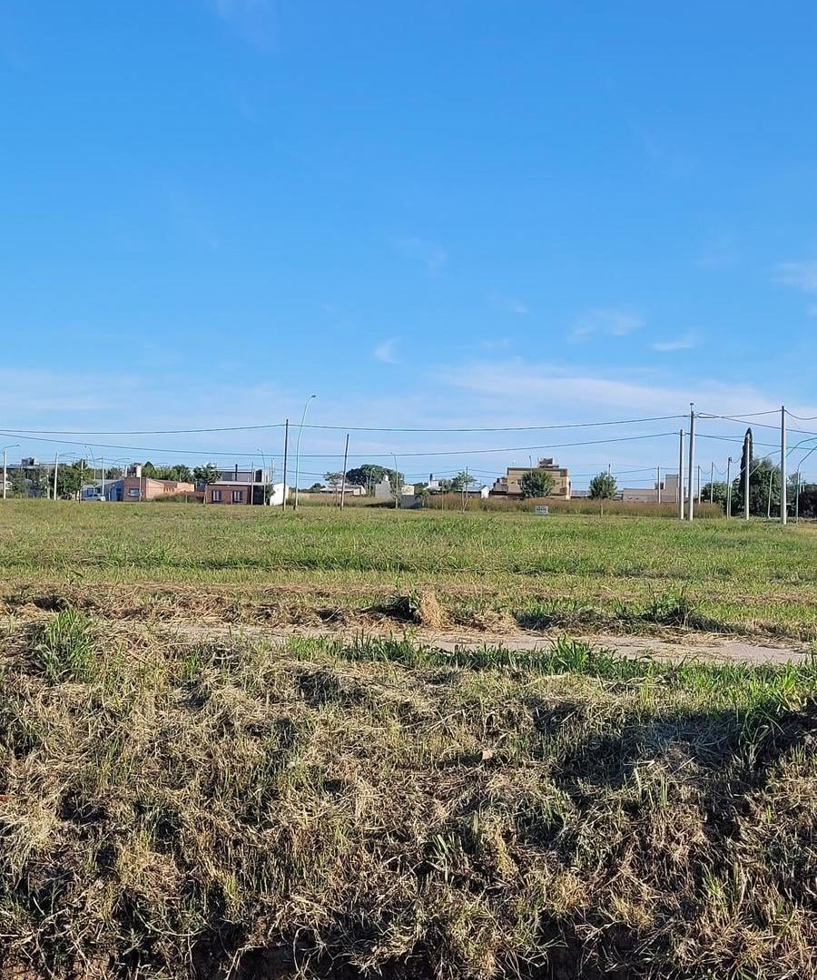 Foto de Oportunidad inmejorable de Terreno en Ángel Gallardo, imagen 3