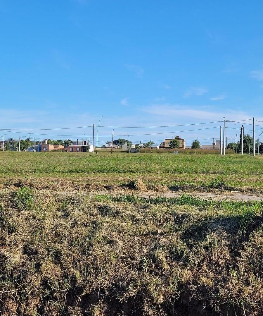 Foto de Oportunidad inmejorable de Terreno en Ángel Gallardo, imagen 2