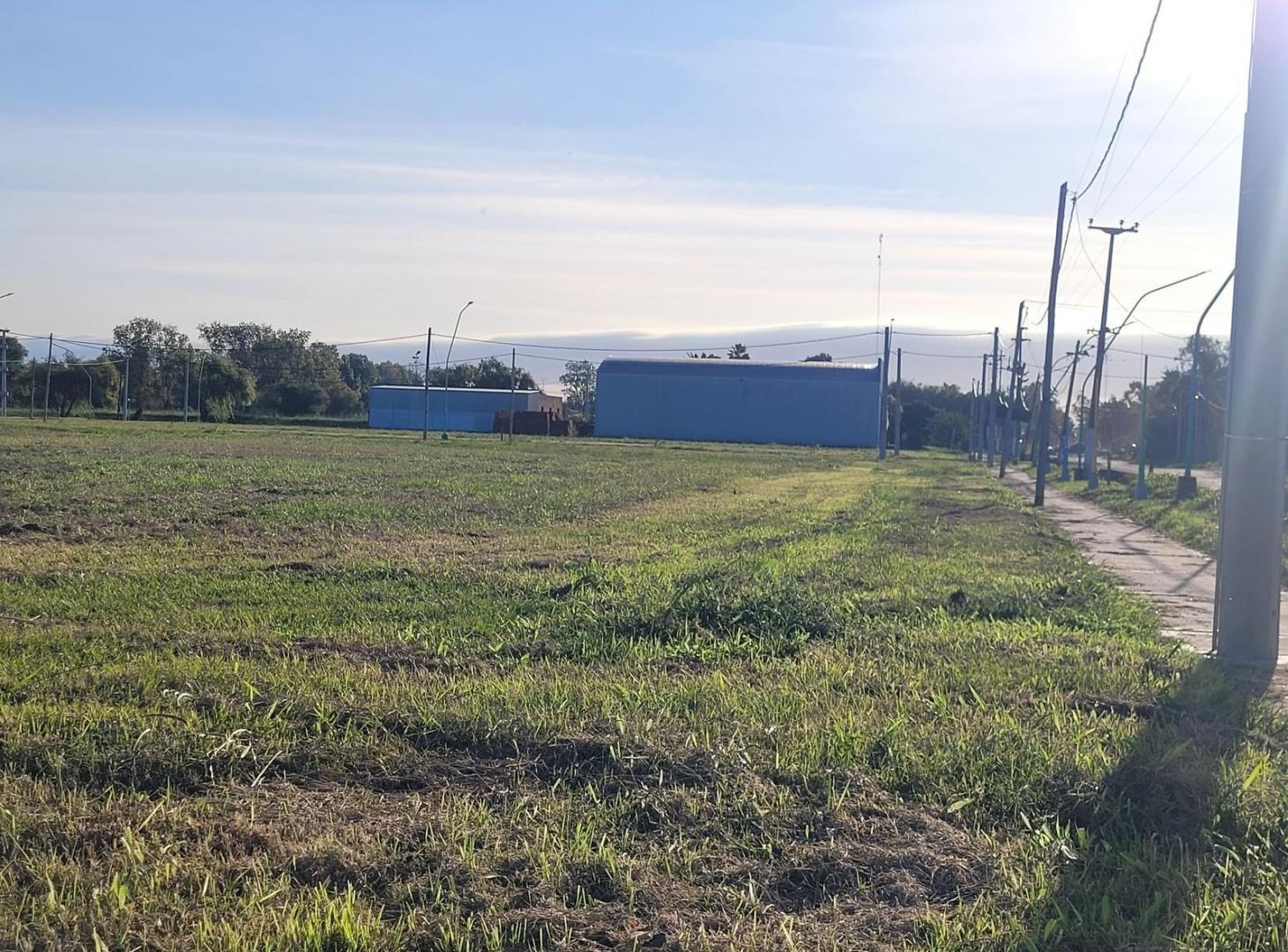 Foto de Oportunidad inmejorable de Terreno en Ángel Gallardo, imagen 5