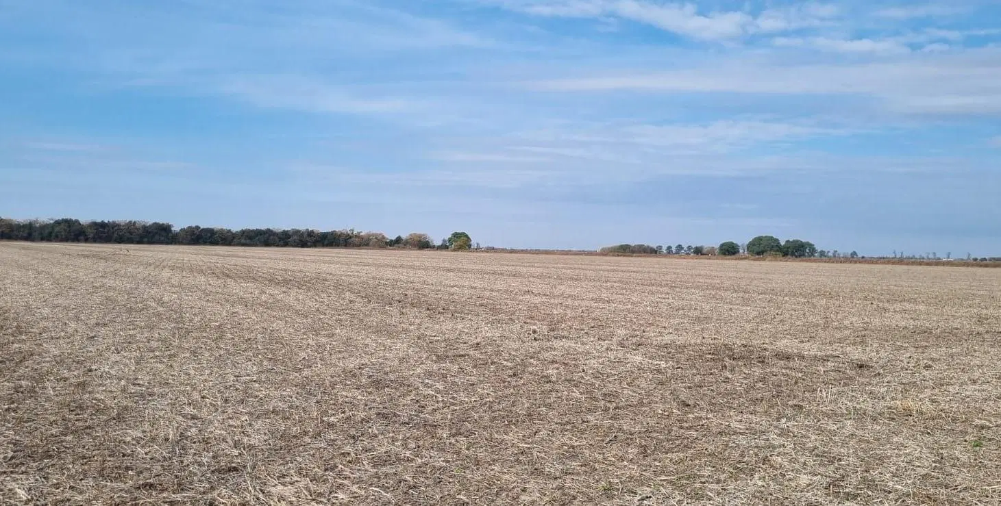 En Venta Excelente Campo Agrícola. 49,38 Has Las Tunas 4