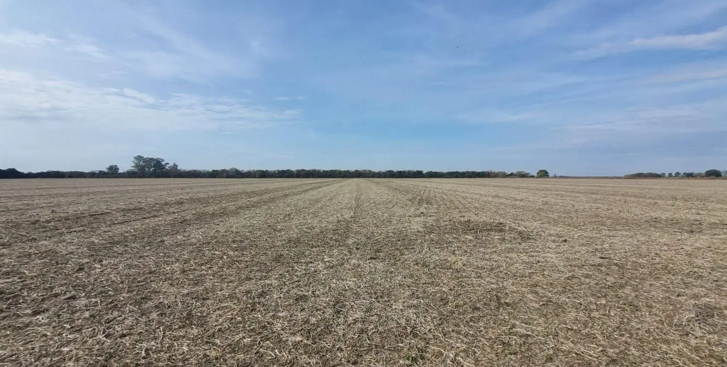 En Venta Excelente Campo Agrícola. 49,38 Has Las Tunas 5