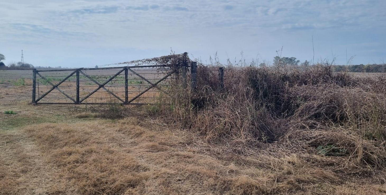 En Venta Excelente Campo Agrícola. 49,38 Has Las Tunas