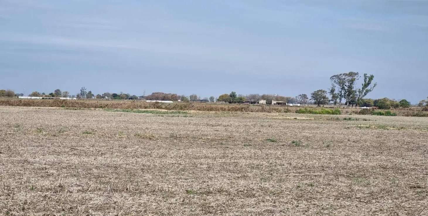 En Venta Excelente Campo Agrícola. 49,38 Has Las Tunas 2