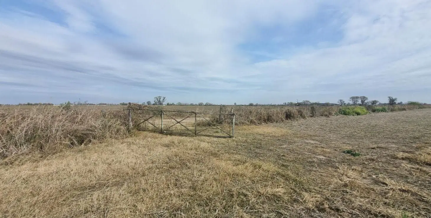 En Venta Excelente Campo Agrícola. 49,38 Has Las Tunas 3