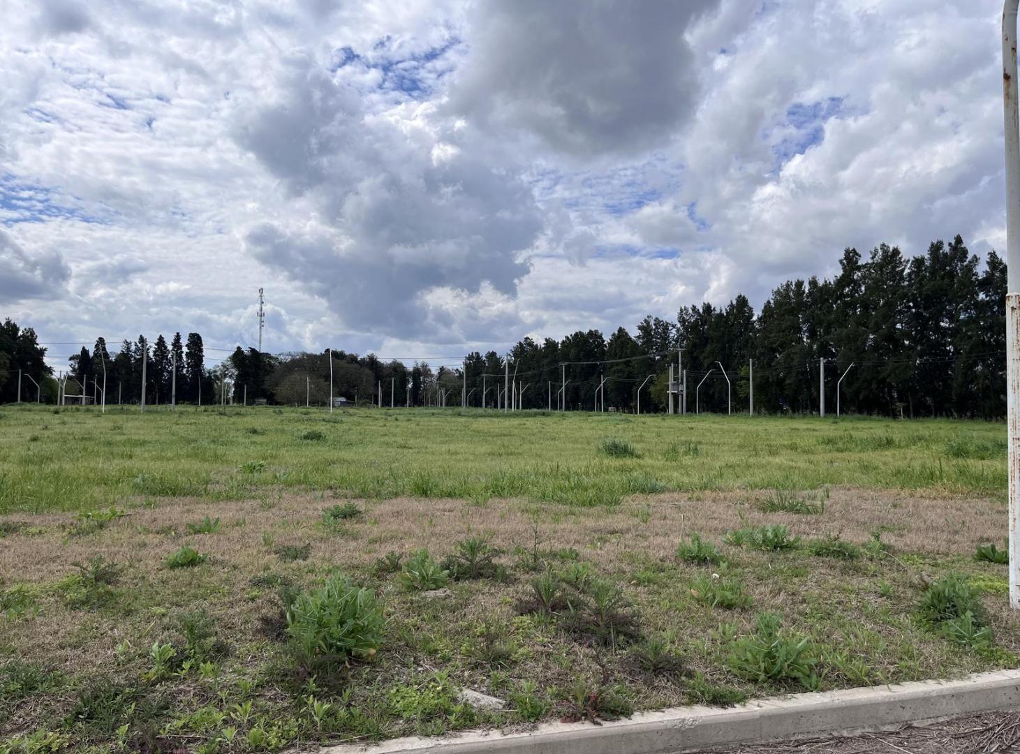 Foto de Terreno en venta en Colonia San Jose, imagen 5