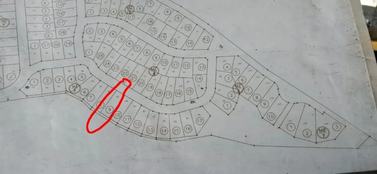 Plano 3