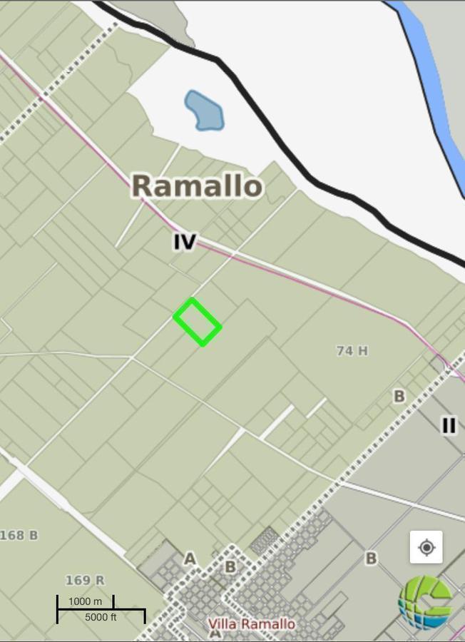 Foto de Campo forestado con Eucaliptus - 20 Ha, imagen 2