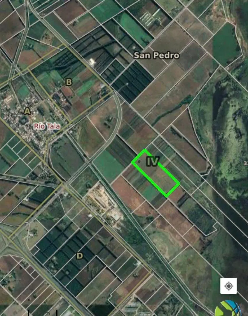 Campo 16.5 has agricolas - San Pedro 1