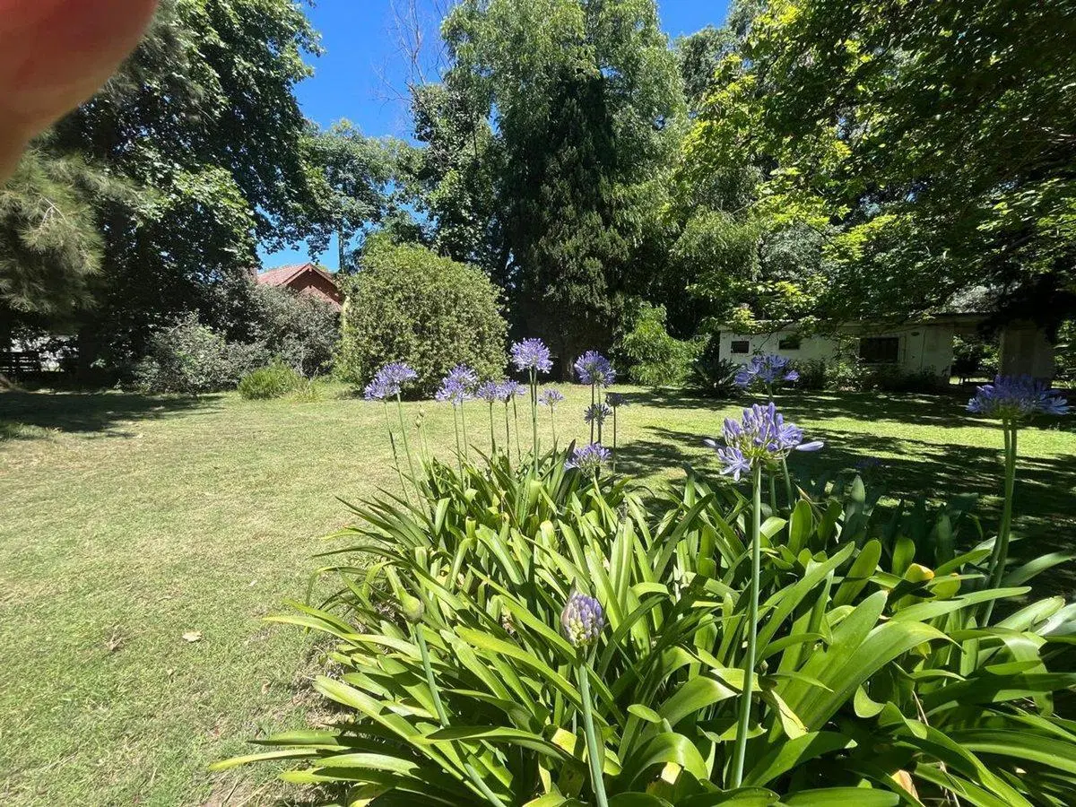 QUINTA 2 TERRENOS ARBOLADOS SAN IGNACIO SAN MIGUEL 3