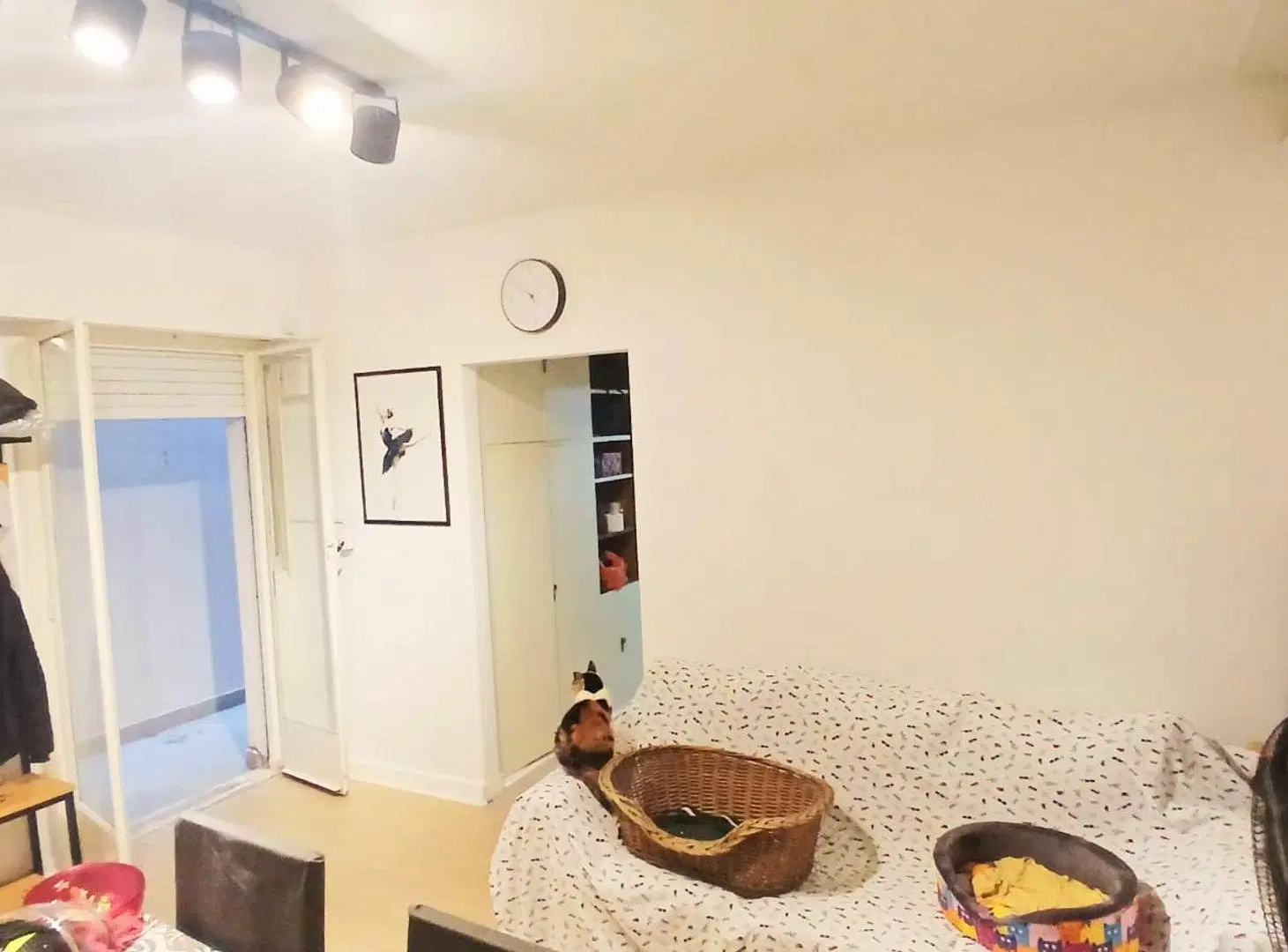 VENTA 2 AMB. PATIO. APTO CREDITO CABALLITO NORTE 5