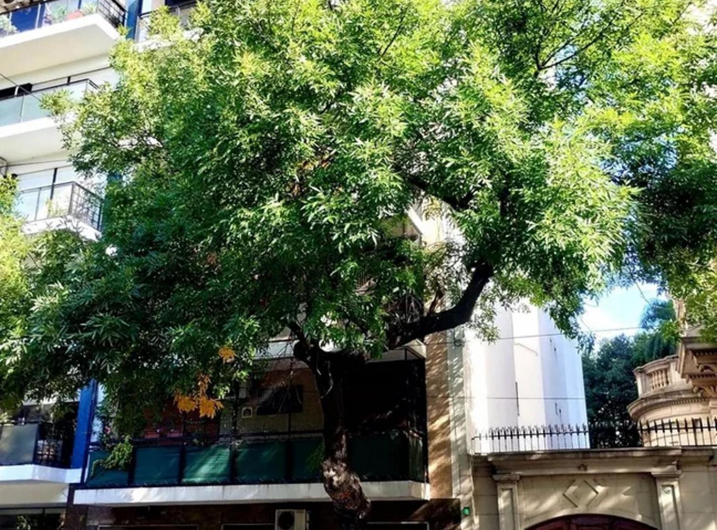 Foto de VENTA 4 AMB EDIFICIO FRENTE A PARQUE RIVADAVIA!!!, imagen 2