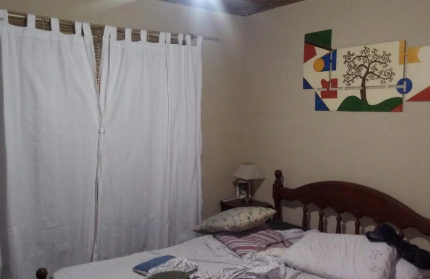 Casa de 3 ambientes con pileta sobre lote de 500 m² - Domselaar 8