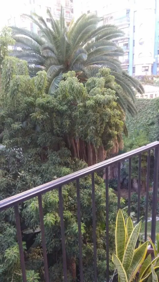 Alquiler dos ambientes con balcon muy luminoso 2