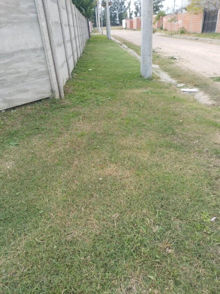 Foto de LOTE EN VENTA - 207 M² - CON ESCRITURA, imagen 4