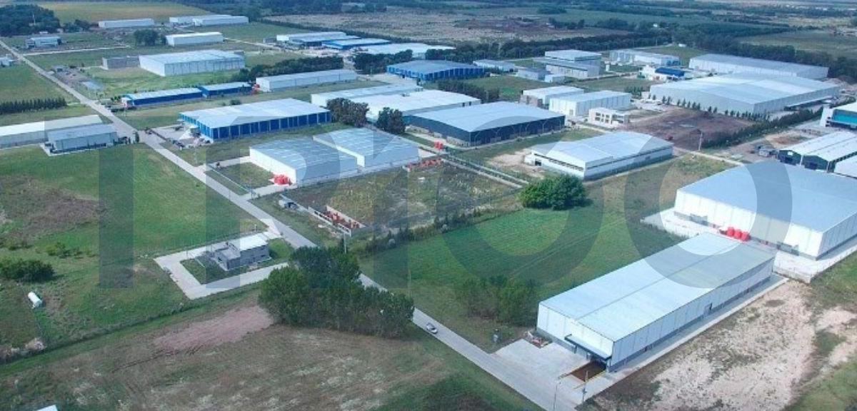 Nave Industrial y Logística con T3 y Sprinklers en Alquiler, Leasing y Venta 5