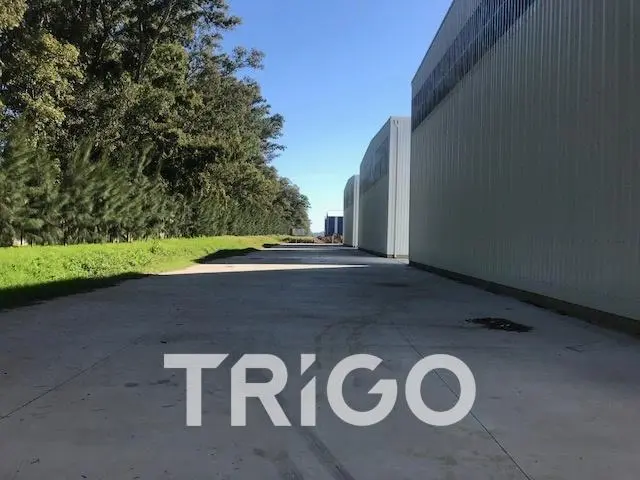 Depósito industrial en alquiler 2800m2 ROCIADORES playa dock de carga en Polo industrial Ezeiza 5