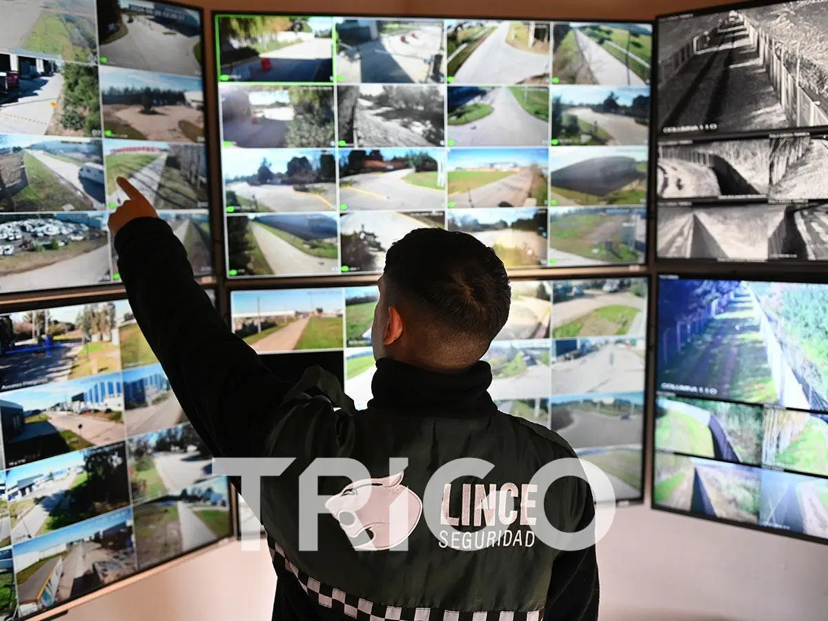 Depósito en alquiler con 950 posisiones incluidas tipo racks Mecalux Polo Industrial Ezeiza 4