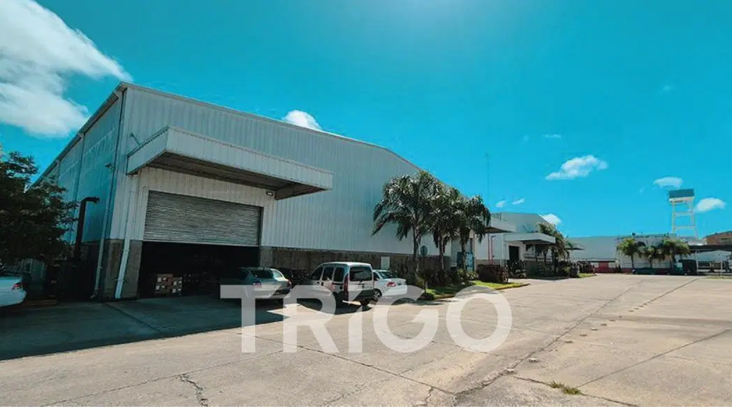 Alquiler Galpón Depósito de 2000 m2 en Carapachay Vicente Lopez Zona Norte 3