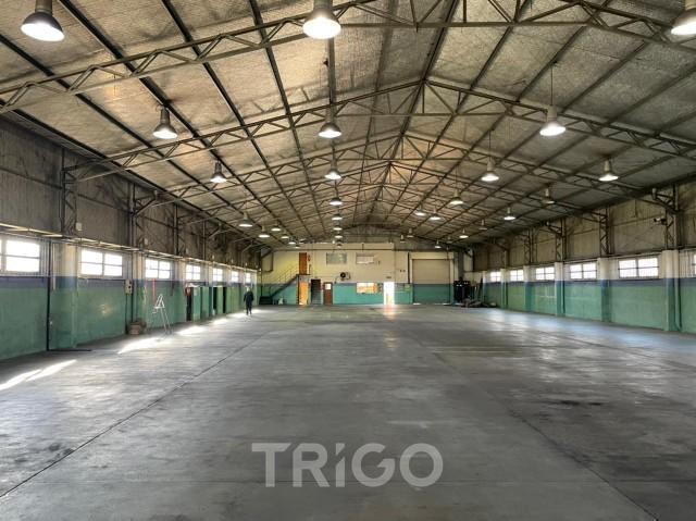 Foto de Deposito 3.145m2 en Alquiler dentro de predio cerrado Av. Gral. Paz y Av. Constituyentes, imagen 1