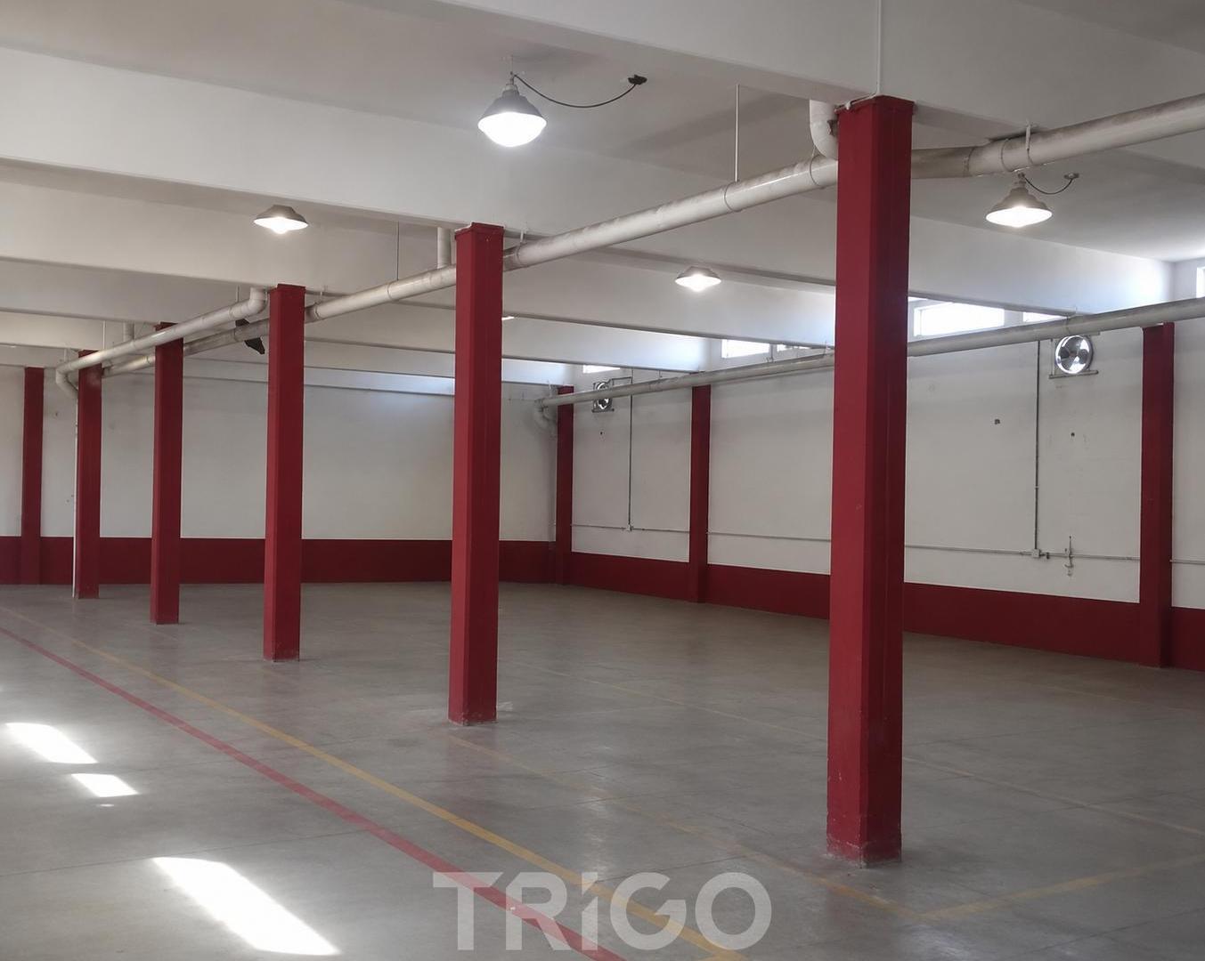 Foto de Deposito 3.172m2 en Alquiler dentro de predio cerrado Av. Gral. Paz y Av. Constituyentes, imagen 5