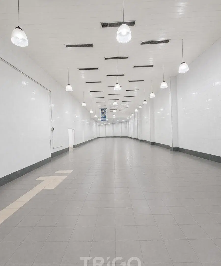 Local de 700m2 salida a dos calles 4